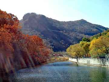 天天彩好彩天天免费，高干女人军婚如山